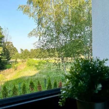 W Dolinie Stawow Zator By Housine Las (Oswiecim)